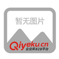 供應(yīng)電源適配器，開關(guān)電源 適配器，電池充電器，火牛